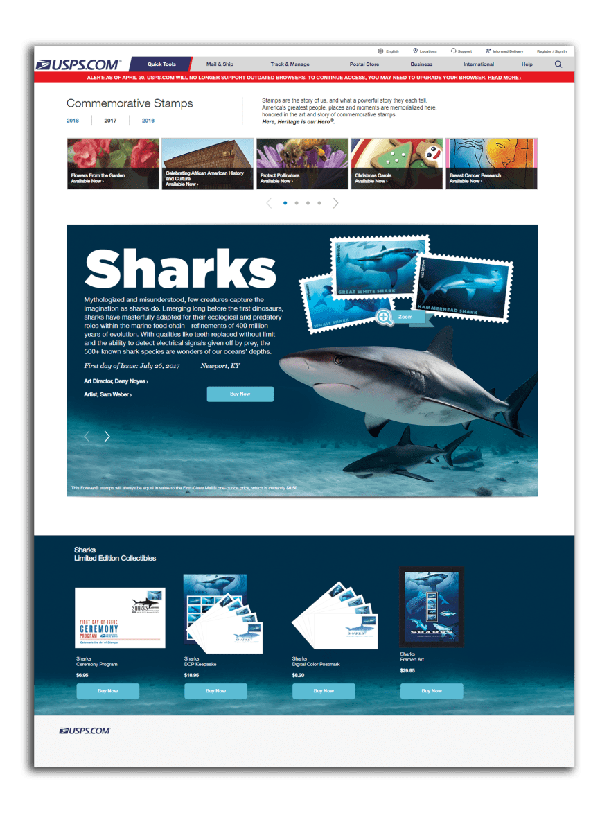 Portfolio_ Sharks Web_001